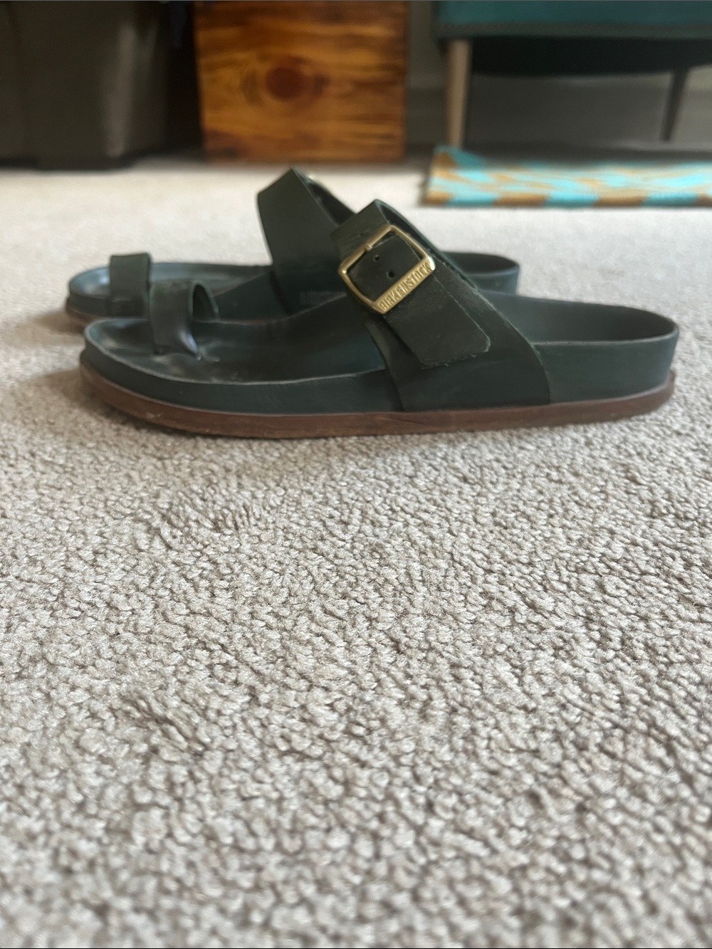 Limited Edition Birkenstock Green/Teal Slide Sandals with Gold Buckle